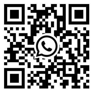 QR code WhatsApp +86 132 8987 9651